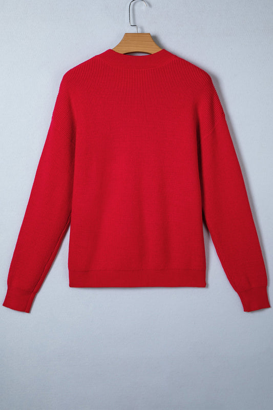 Arya Embroidered Graphic Ribbed Sweater
